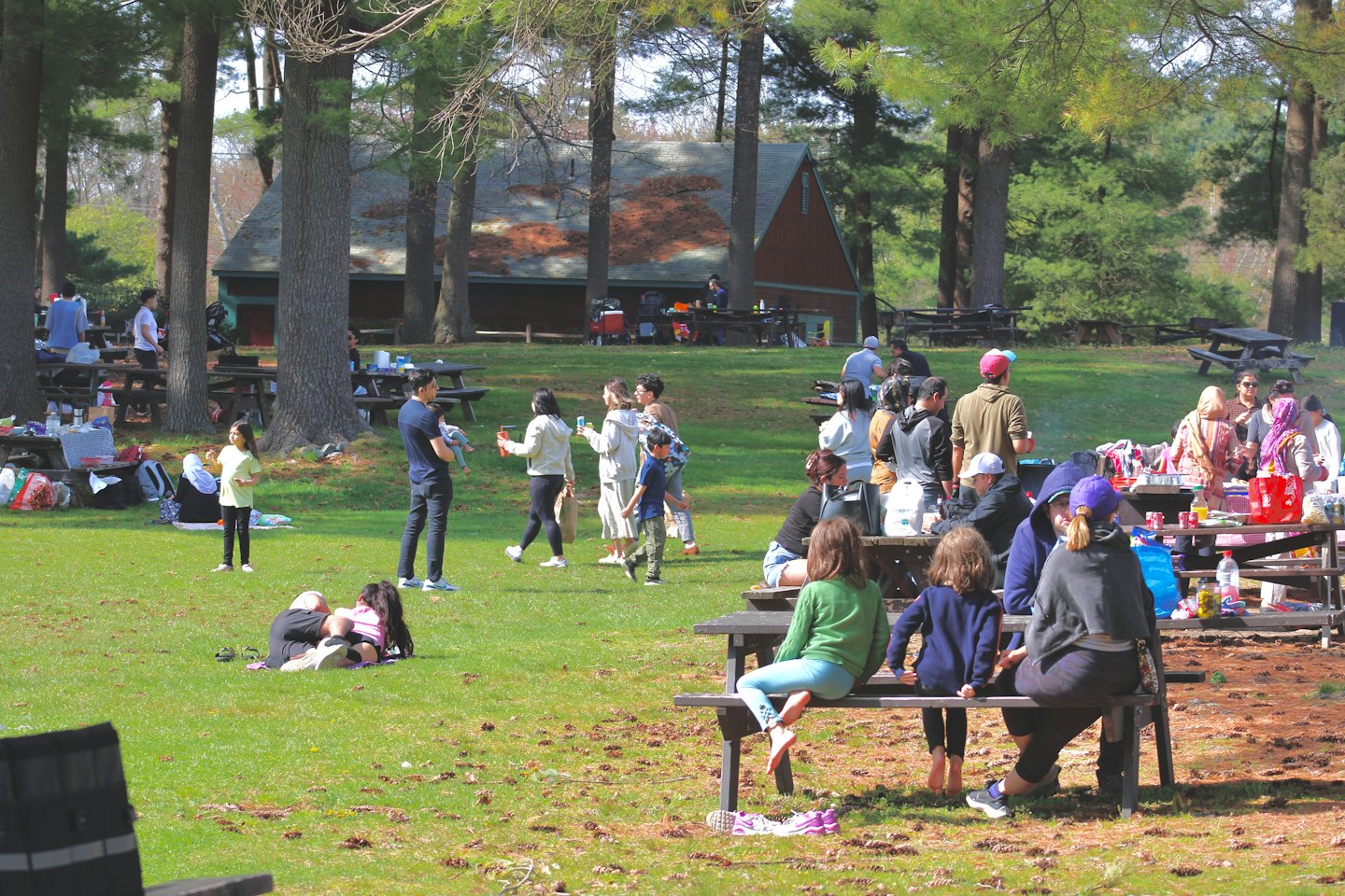 People of diverse backgrounds enjoy a sunny park picnic with tables and trees.